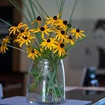 Hotel Vitalhotel Quellengarten - 3*