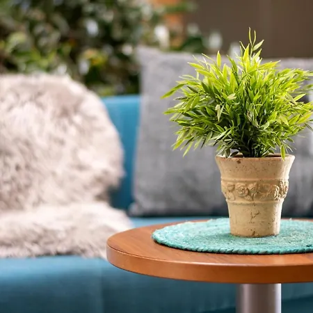 Hotel Vitalhotel Quellengarten - Lingenau