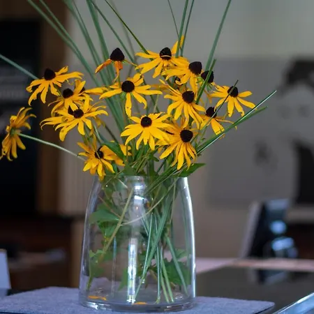 Hotel Vitalhotel Quellengarten - 3*