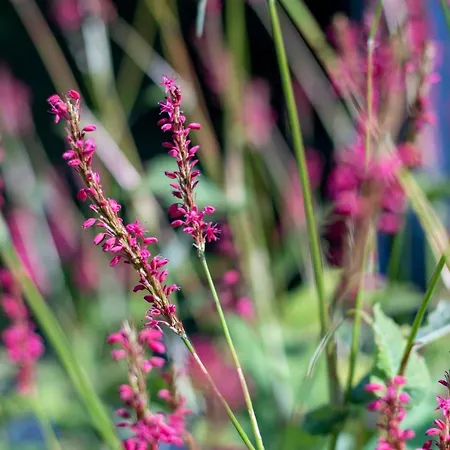 Vitalhotel Quellengarten - Hotel