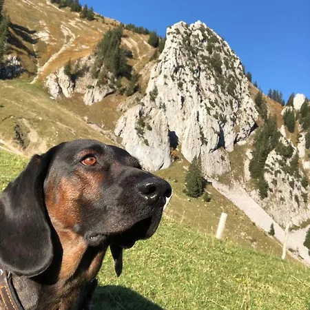 Hotel Vitalhotel Quellengarten - Lingenau