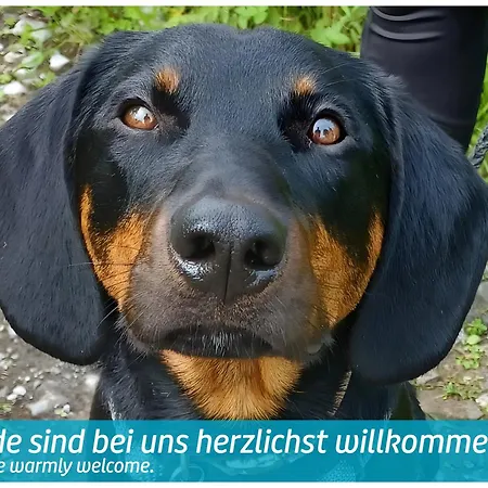 Hotel Vitalhotel Quellengarten - 3*