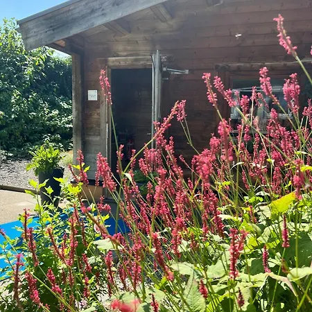 Vitalhotel Quellengarten - Lingenau