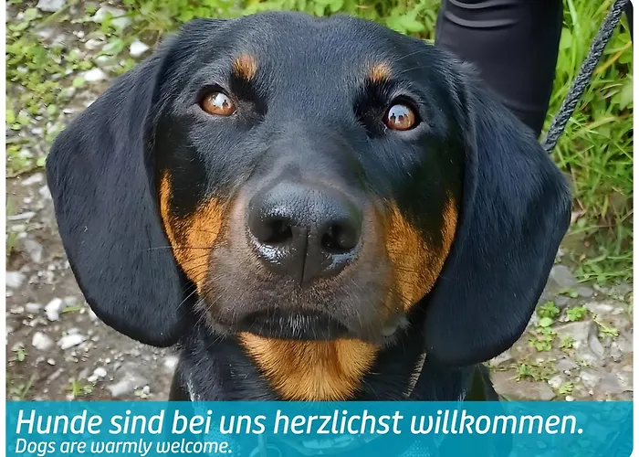 Szálloda Vitalhotel Quellengarten - 3*